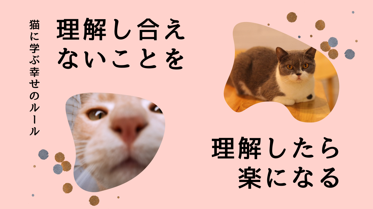 猫に学ぶ幸せのルール