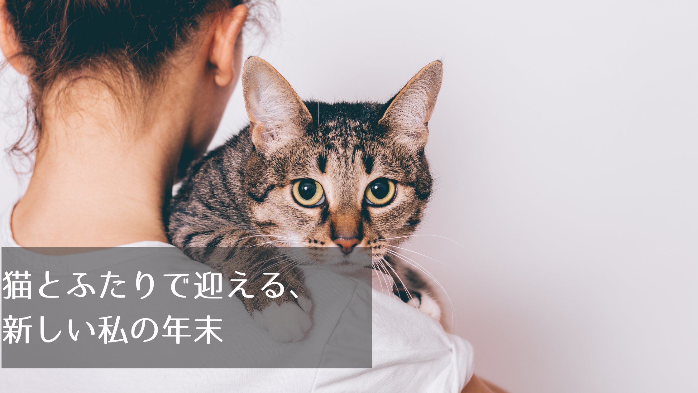 猫とふたりで迎える、新しい私の年末